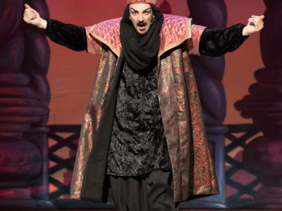 Most Definitely Not Disney's Aladdin Adult Pantomime